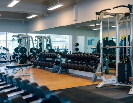 Gymnasium