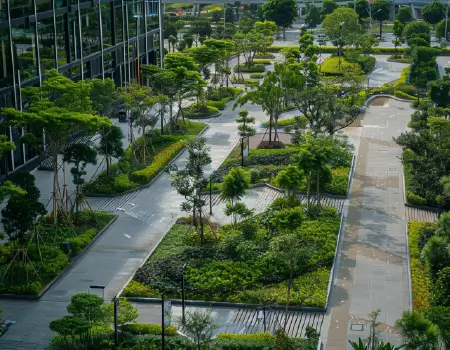 Landscape Garden