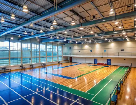 Multipurpose Sports Court